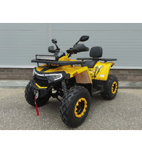 Квадроцикл Avantis H250 BIG NEW Lux