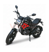 Мотоцикл VMC Monster Plus BY200-2A 197см3 СЕРИЯ Y2500 (ЭПТС)